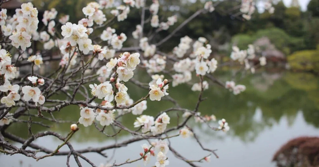 現在の画像に代替テキストがありません。ファイル名: rectangle_large_type_2_2f193310ed94d246bc6748f41b63eb9f.webp