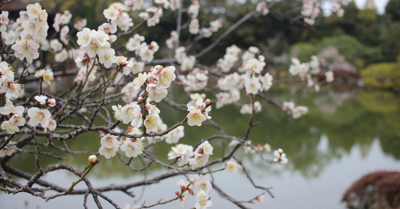 rectangle_large_type_2_2f193310ed94d246bc6748f41b63eb9f